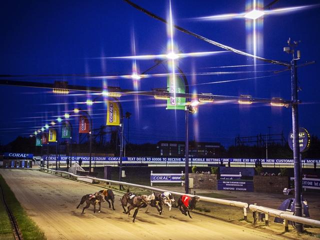 The Sky Sports cameras will be at Romford for tonight's Champion Stakes final